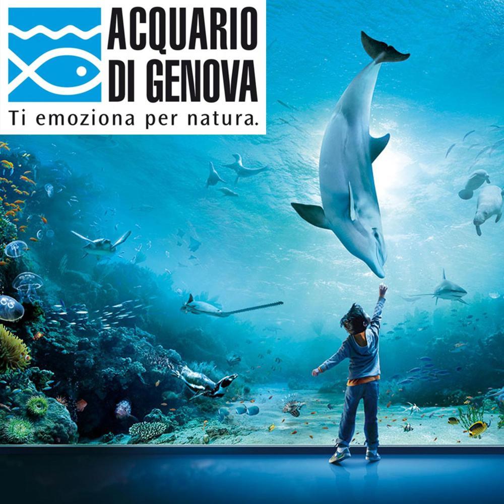Corvetto Genua